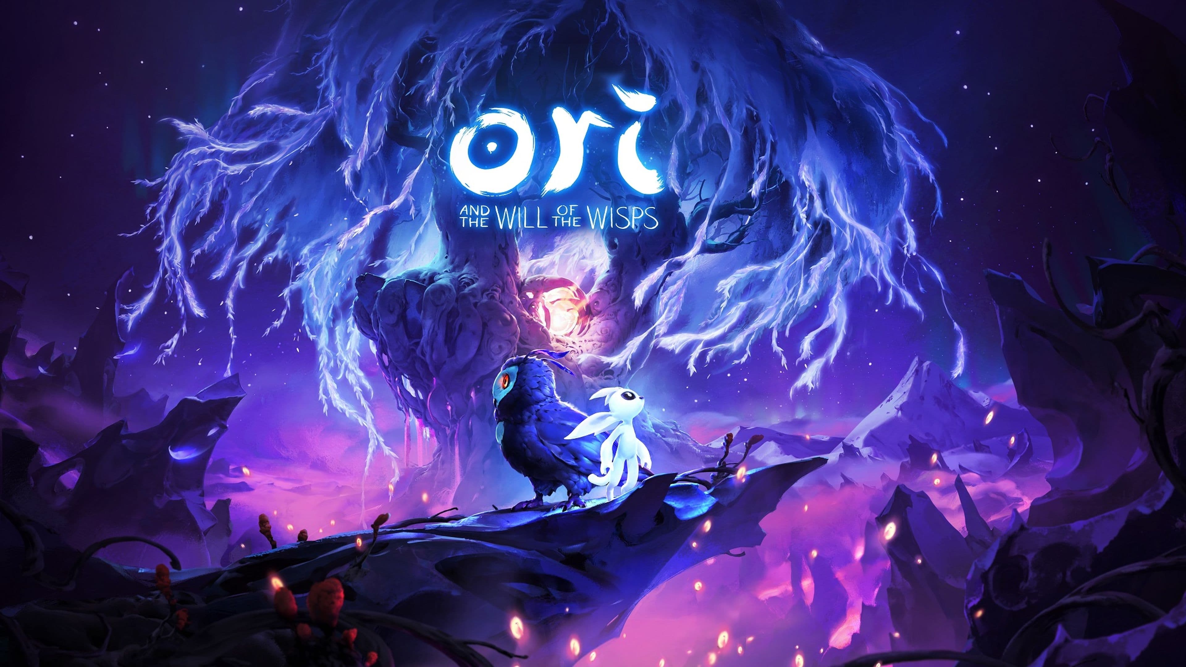 Ori and the Will of the Wisps (PC / Xbox One / Xbox Series X|S, Turkey)