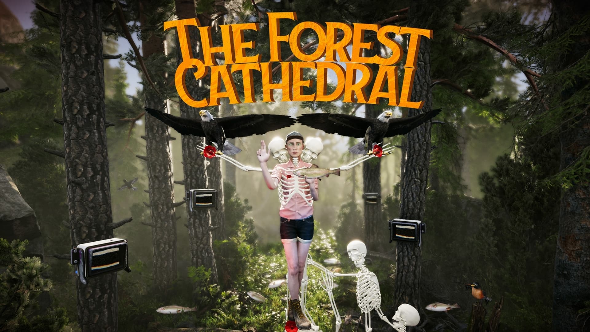 The Forest Cathedral