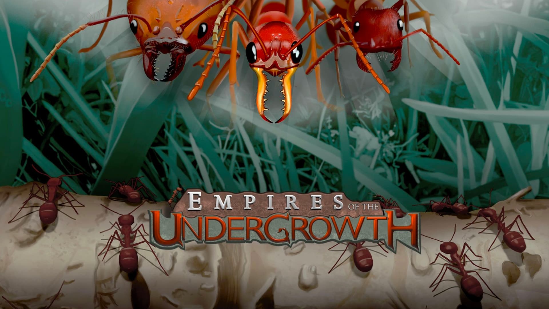 Empires of the Undergrowth (Latin America)