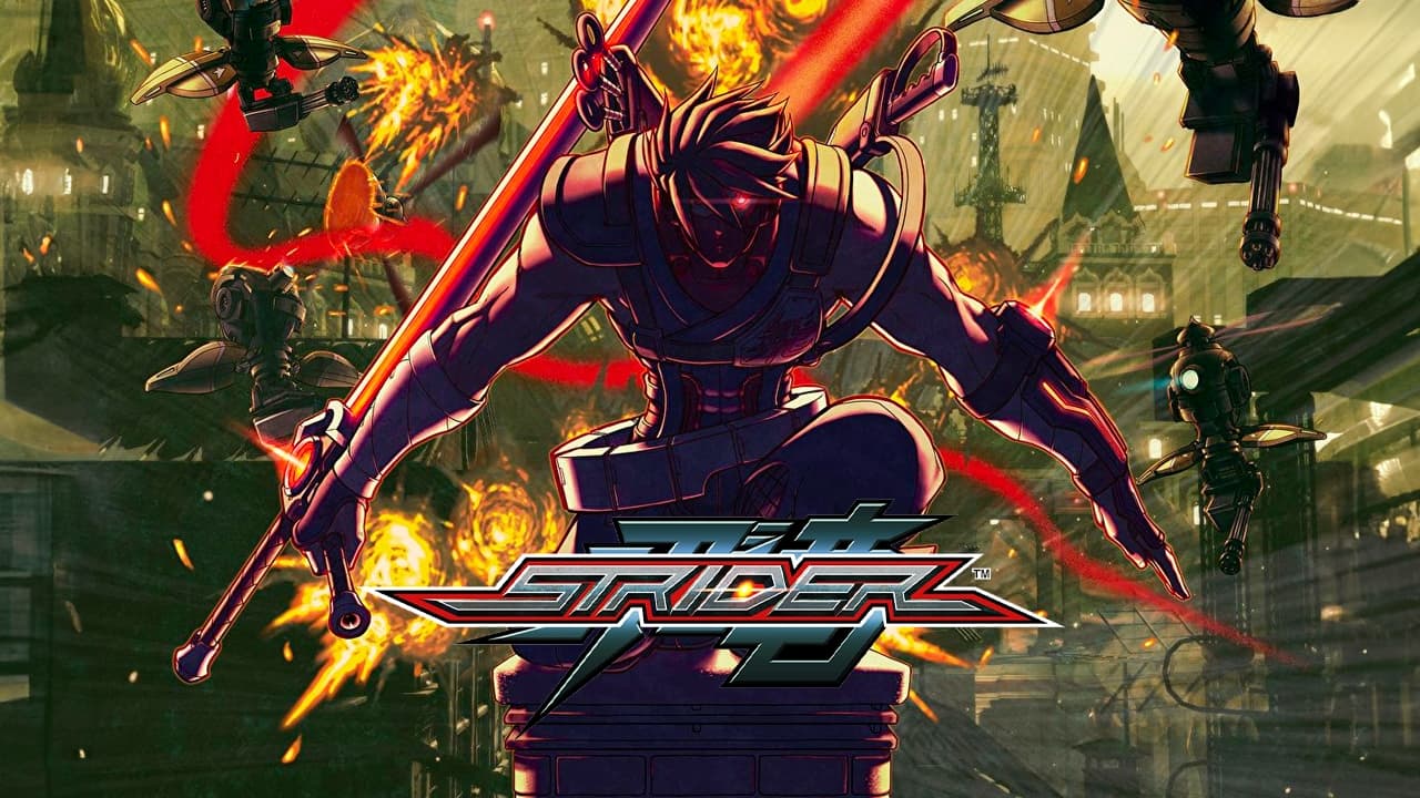 STRIDER (PC)