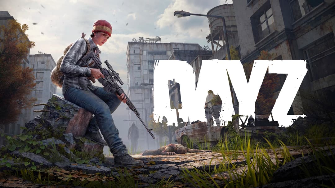 DayZ (PC) copertina