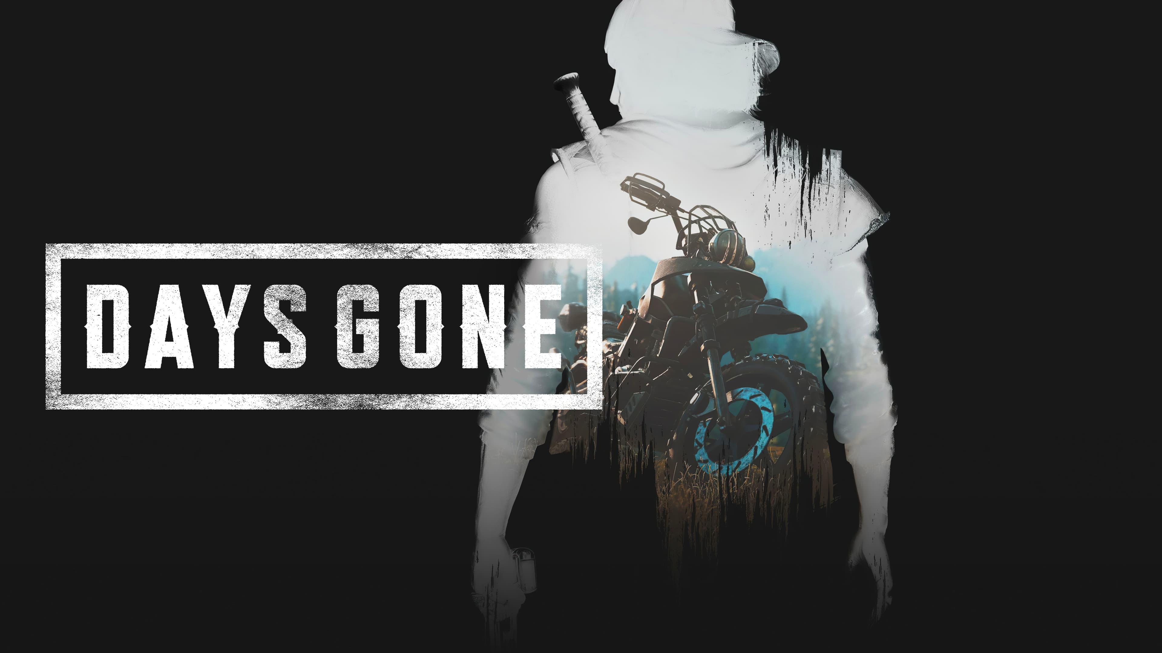Days Gone (PC)