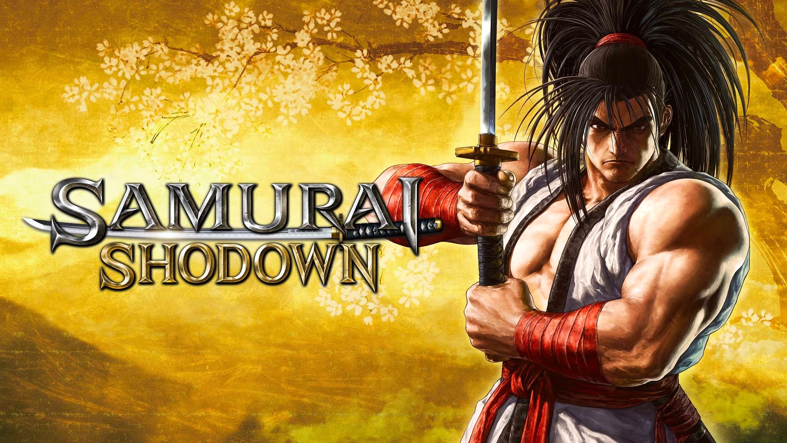 Samurai Shodown (PC - Steam)