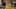 Miniatura de la captura de pantalla del juego 5