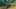 Game screenshot thumbnail 1