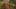 Miniatura de la captura de pantalla del juego 4