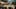 Miniatura screenshot del gioco 5