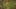 Miniature af spil-screenshot 1