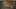 Miniatura de la captura de pantalla del juego 3