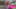 Thumbnail gamescreenshot 1
