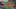 Miniature af spil-screenshot 2