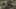 Thumbnail Spiel-Screenshot 2