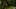 Thumbnail Spiel-Screenshot 1