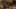 Thumbnail Spiel-Screenshot 4