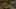Miniatura da captura de ecrã do jogo 4