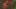 Thumbnail Spiel-Screenshot 1