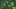 Thumbnail Spiel-Screenshot 3