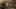 Thumbnail Spiel-Screenshot 2