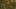 Miniatura da captura de ecrã do jogo 2