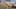 Miniature af spil-screenshot 3