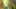 Thumbnail Spiel-Screenshot 4