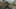Thumbnail Spiel-Screenshot 3