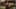 Thumbnail Spiel-Screenshot 4