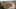 Thumbnail Spiel-Screenshot 3