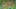 Miniatura de la captura de pantalla del juego 1
