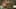 Thumbnail Spiel-Screenshot 5
