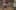 Miniatura screenshot del gioco 5