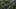 Thumbnail gamescreenshot 3