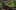 Thumbnail gamescreenshot 4