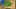 Miniature af spil-screenshot 3