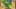 Miniature af spil-screenshot 5