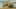 Thumbnail gamescreenshot 4
