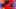 Thumbnail Spiel-Screenshot 4