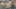 Thumbnail Spiel-Screenshot 1