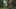 Thumbnail gamescreenshot 2