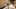 Thumbnail gamescreenshot 1
