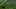 Miniatura da captura de ecrã do jogo 3