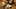 Thumbnail gamescreenshot 1