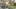 Thumbnail gamescreenshot 3