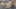 Miniatura de la captura de pantalla del juego 1