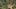 Game screenshot thumbnail 4
