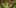 Miniature af spil-screenshot 1