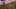 Miniatura de la captura de pantalla del juego 3