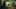 Miniatura de la captura de pantalla del juego 3