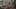 Miniature af spil-screenshot 5