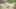 Thumbnail gamescreenshot 3